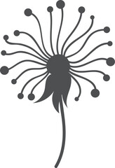 Summer botany element. Black dandelion flower icon