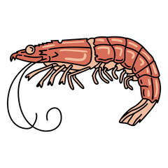 Obraz premium Stroke prawn animal