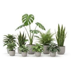 Fototapeta premium A diverse collection of potted plants arranged in a modern indoor setting.