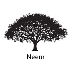 Obraz premium Neem tree silhouette isolated on white background, medicinal plant vector illustration
