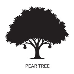 Fototapeta premium Pear tree silhouette with hanging fruits isolated on white background, vector illustration