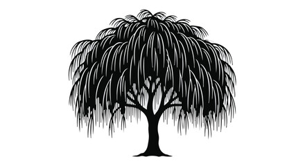 A black silhouette of a weeping willow tree on a with long drooping branches © Sk. Matin