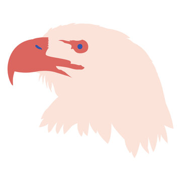 Bird eagle animal head flat