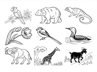 the animal, bird, and flower black vector bundle