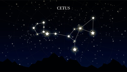 Cetus zodiac constellation on a dark night sky background with stars, astrology, astronomy vector design elements © Evelin