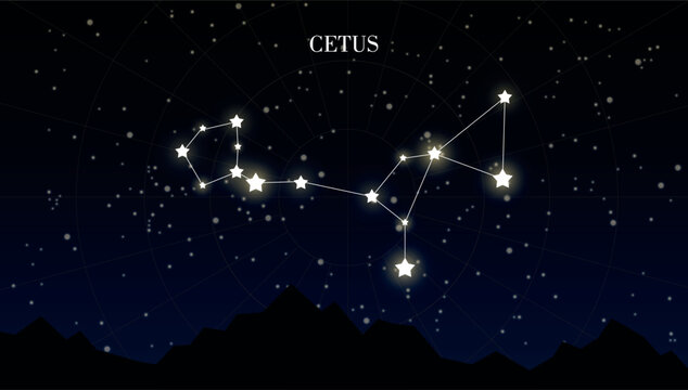 Cetus zodiac constellation on a dark night sky background with stars, astrology, astronomy vector design elements