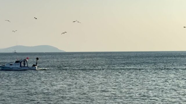 Small motorboat sailing on the Marmara Sea with seagulls flying above in Istanbul, Turkey. Scenic maritime landscape with the Princes' Islands on the horizon and calm blue water during a sunny day.