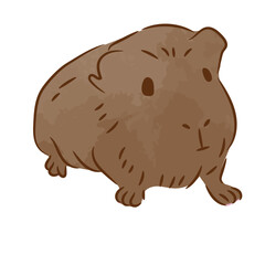 Fototapeta premium Curious guinea pig color stroke