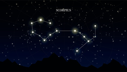 Scorpius zodiac constellation on a dark night sky background with stars, astrology, astronomy vector design elements © Evelin