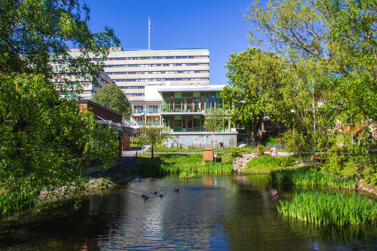 Scenic urban park with a green pond and swimming ducks in front of large modern institutional buildings under a blue sky