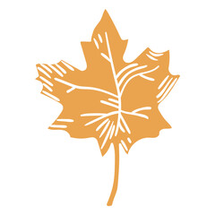 Obraz premium Maple leaf cutout icon