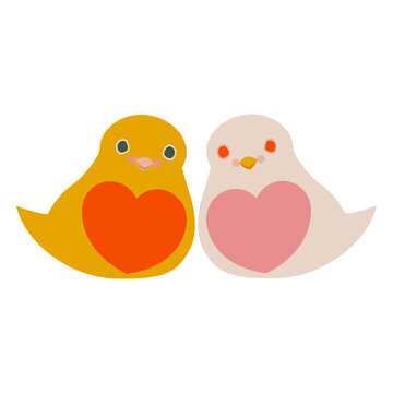 Valentines flat pidgeons