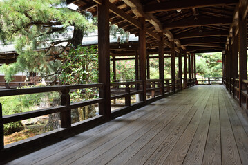 大覚寺　村雨の廊下(京都市右京区)