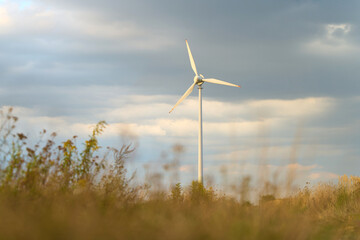 Fototapeta premium Sustainable electricity production in natural environment
