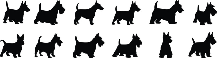 Dog, silhouette, Scottish, terrier, pet, animal, breed, canine, posture, collection, black, shape, figure, design, illustration, art, pattern, domestic, furry, companion