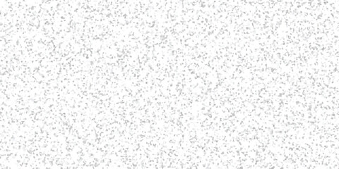 Obraz premium Delicate Gray and White Granular Texture Abstract Background Pattern for Digital Art and Web Design vector