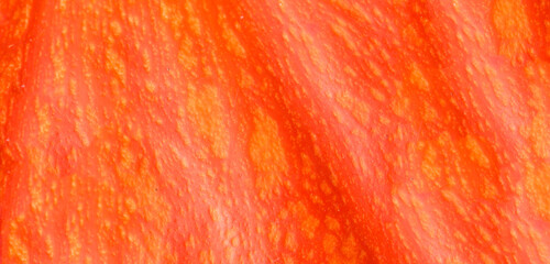 Superficie de calabaza © lurialur