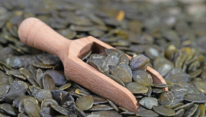 Geröstete Kürbiskerne in einer Nahaufnahme