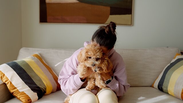 Woman in pastel hoodie holds poodle with comfort and affection
