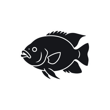 Blue Tilapia Silhouette Vector - Oreochromis Aureus Icon - Freshwater Game Fish and Aquaculture Graphic