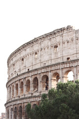 Fototapeta premium A close-up view of the Colosseum in Rome, focusing on the iconic arches and stonework, with a tree in the foreground and cloudy skies in the background.