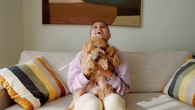 Woman lifts playful poodle with sunshine and bright cushions