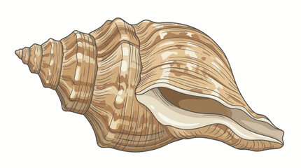 vector snail on a white background