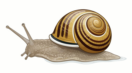 vector snail on a white background