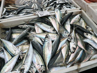 Fototapeta premium Freshly Caught Fish in Market Crates