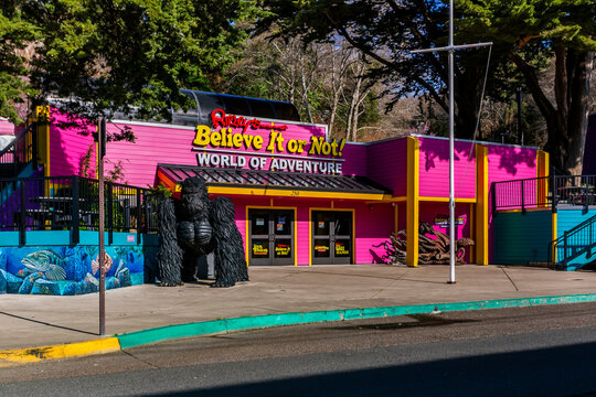 Ripley's Believe It or Not in Newport, Oregon