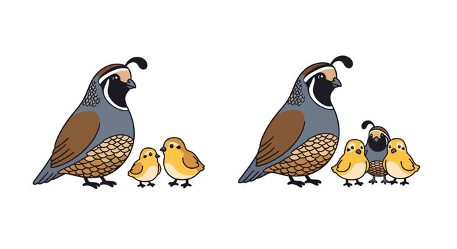 Two adult quails with three small chicks in a simple illustration