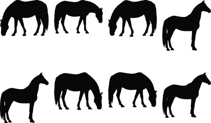 Fototapeta premium A diverse set of eight elegant horse silhouettes, showcasing various natural movements like tranquil grazing and poised standing, perfect for agricultural and wildlife-themed designs.