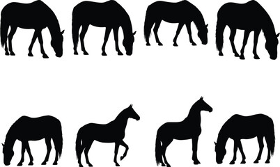 A versatile array of eight captivating horse silhouettes, depicting various authentic poses such as serene grazing and confident standing, excellent for branding and wildlife illustration projects.