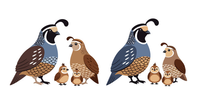 A family of quails adult birds with their small speckled chicks