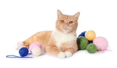 Cute ginger cat with balls of colorful yarns on white background © New Africa