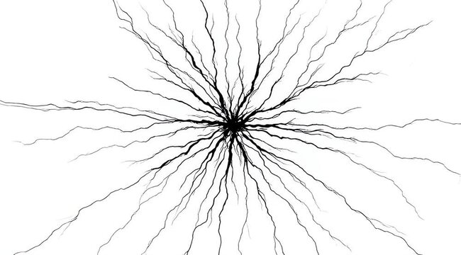 Abstract radial pattern of thin dark lines emanating from a central point against a white background, resembling a starburst or crackle effect
