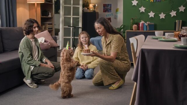 Positive woman asking moodle dog to walk on hind legs while holding plate with cake in front of pet, two smiling teenagers watching