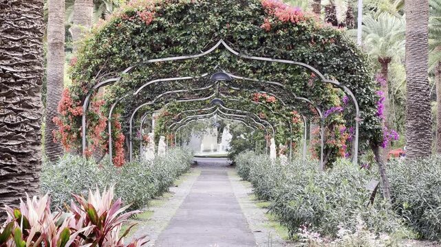 Tropical Plants in Parque Garc&iacute;a Sanabria, Santa Cruz de Tenerife