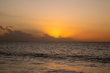Cole&ccedil;&atilde;o de fotos da natureza com flores, plantas e animais em ambiente natural