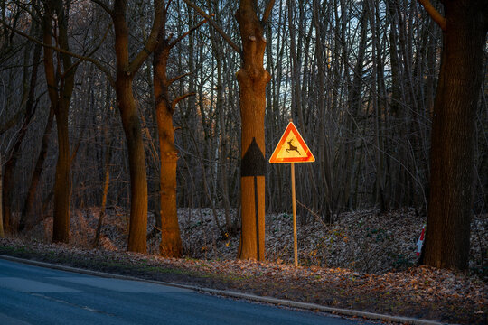 warning sign of wildlife crossing the road in Bremen-Oberneuland