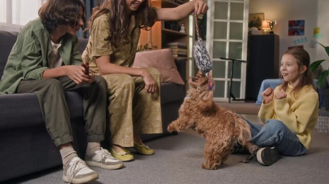 Woman holding rope toy while playful moodle dog jumping up trying to bite it, gen alpha girl cheering pet up, teenage boy watching
