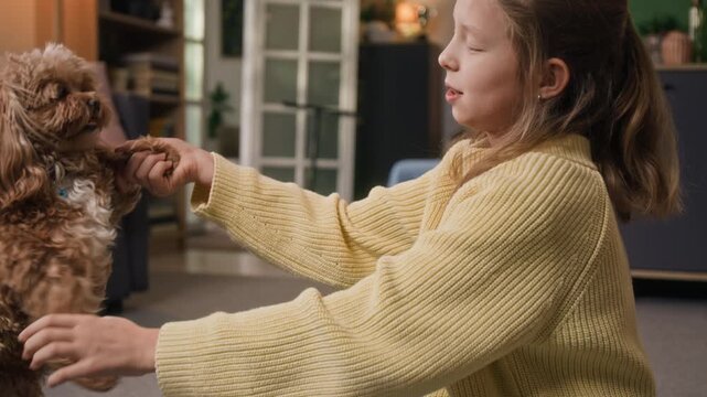 Gen alpha girl taking front paws of cute brown-coloured moodle dog while communicating with pet at home
