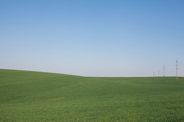 Green spring field with utility poles stretching along horizon