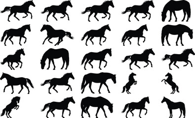 Fototapeta premium Group of black horse silhouettes displaying different gaits and postures, including rearing and grazing, isolated on a plain white background.