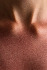 Fototapeta premium Sunburned Skin Texture on Neck and Collarbone Close-Up