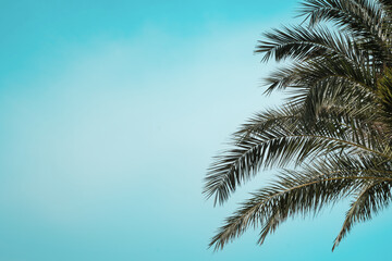 Tam, gdzie zaczynają się wakacje © tomasz