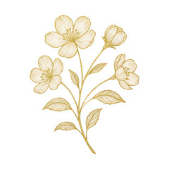 Naklejka premium PNG Elegant gold floral illustration