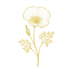 Naklejka premium PNG Elegant golden floral illustration