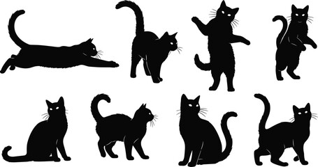 Black cat silhouette collection in different poses, playful and sitting feline vector icons set isolated on white background for Halloween, pet design © Amit World