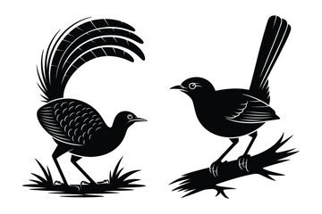 Fototapeta premium Stylized Birds, Male and Female, Silhouette Vector Illustration